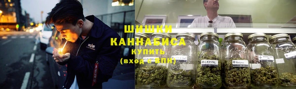 бошки Гусь-Хрустальный